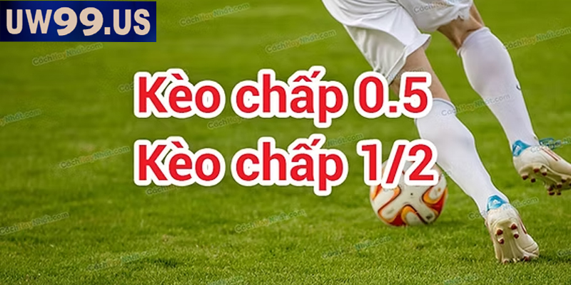 Cập nhật nhanh chóng kèo chấp 1/2 trước mỗi trận đấu